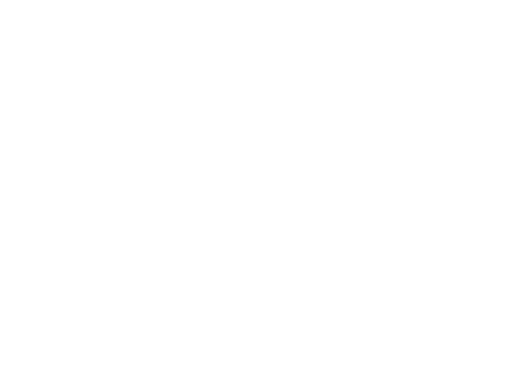 Logo Castillo IT Systems
